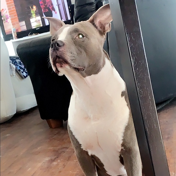 Meet your Posher, Dedrik - Picture 1 of 1